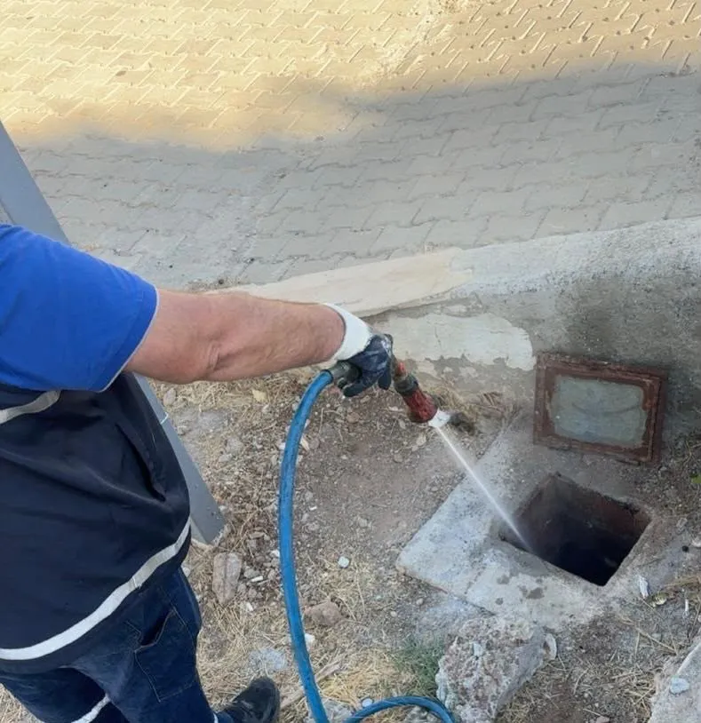 Didim'de haşereye karşı kesintisiz mesai: Yaz kış demeden önlem alınıyor