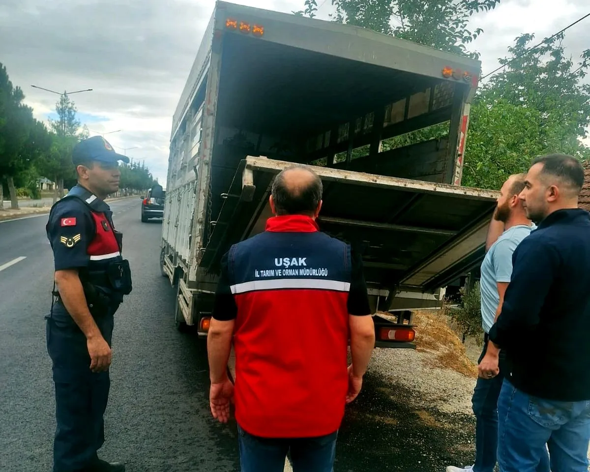 Uşak yollarında sıkı denetim: Hayvan sağlığı için geçit yok
