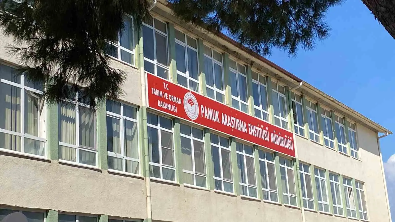 Pamuk Araştırma Enstitüsü’nde rüşvet operasyonu: Müdür dahil 4 kişi adliyeye sevk edildi
