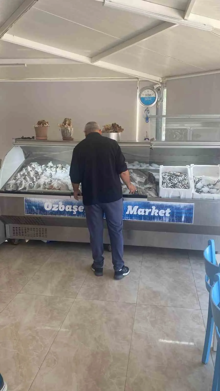 Didim’de balık tezgahları mercek altında: Kurallara uyum denetimi