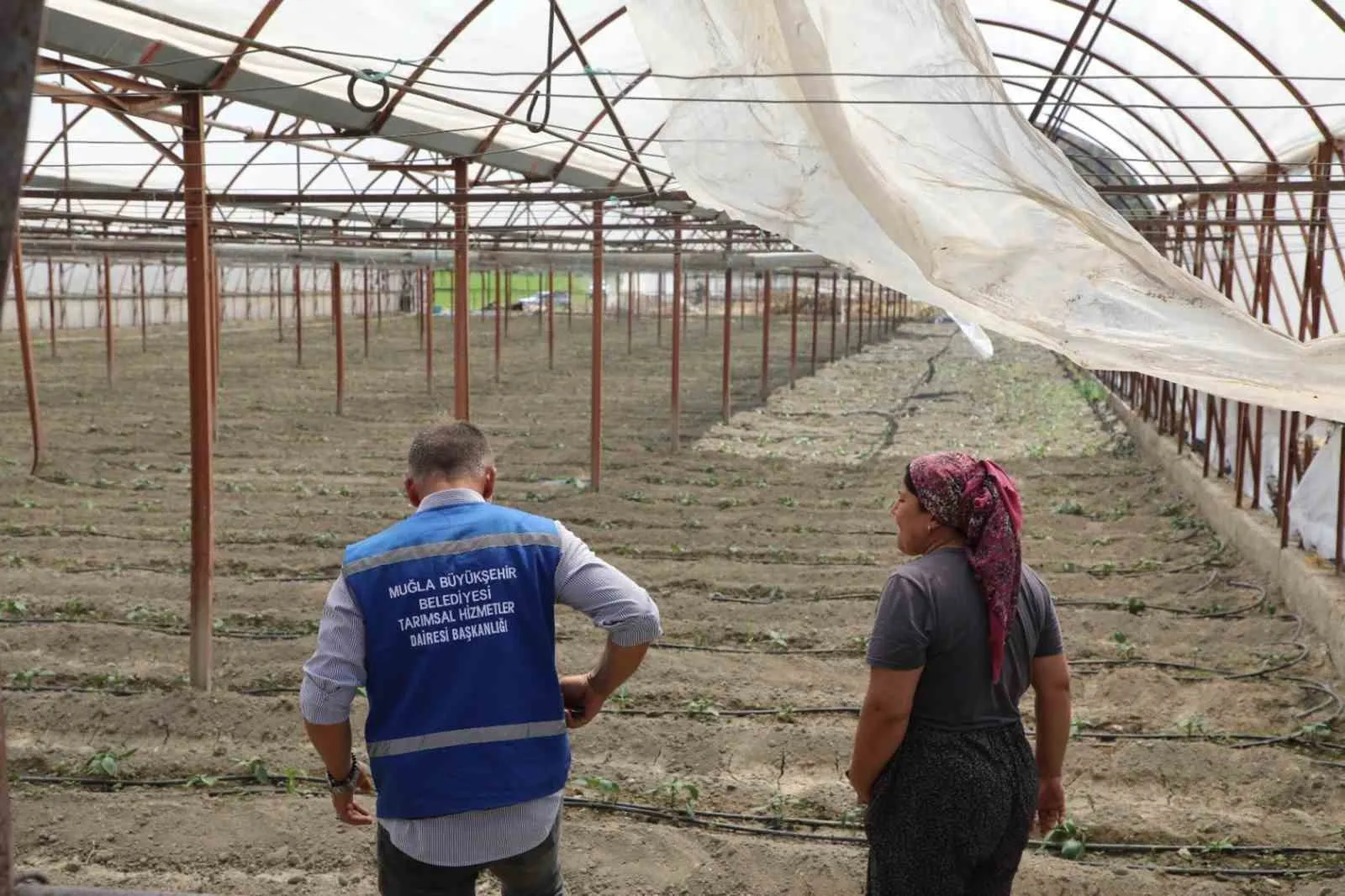Seydikemer’de yangın felaketinin izleri hızla siliniyor: Üreticiye can suyu desteği