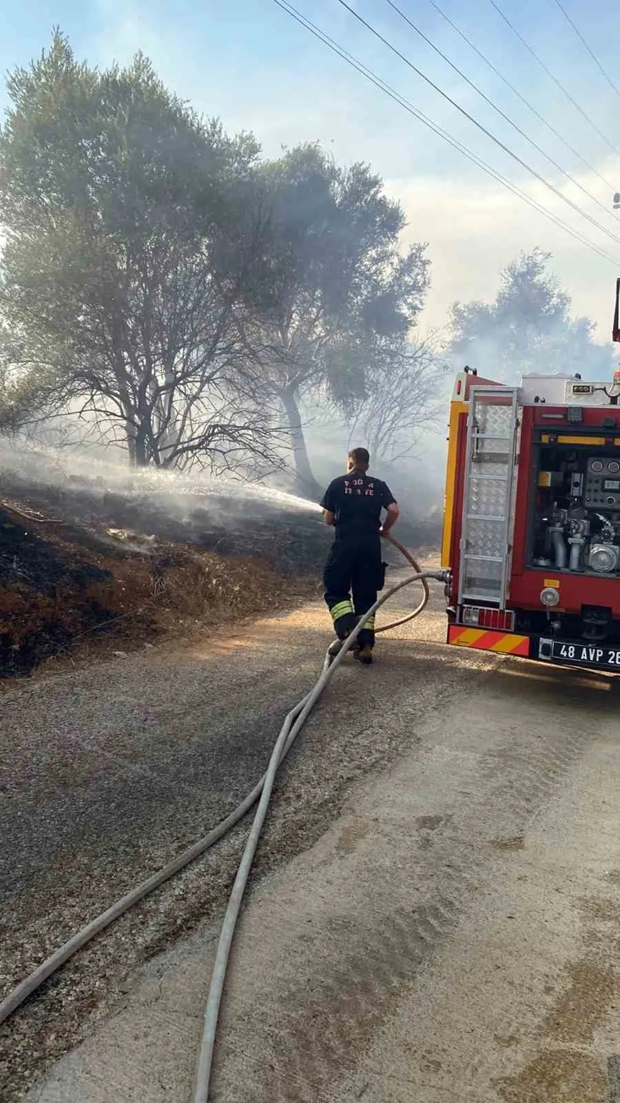 Bodrum-Milas yolunda korkutan alevler: Ekipler zeytinlikleri kurtardı