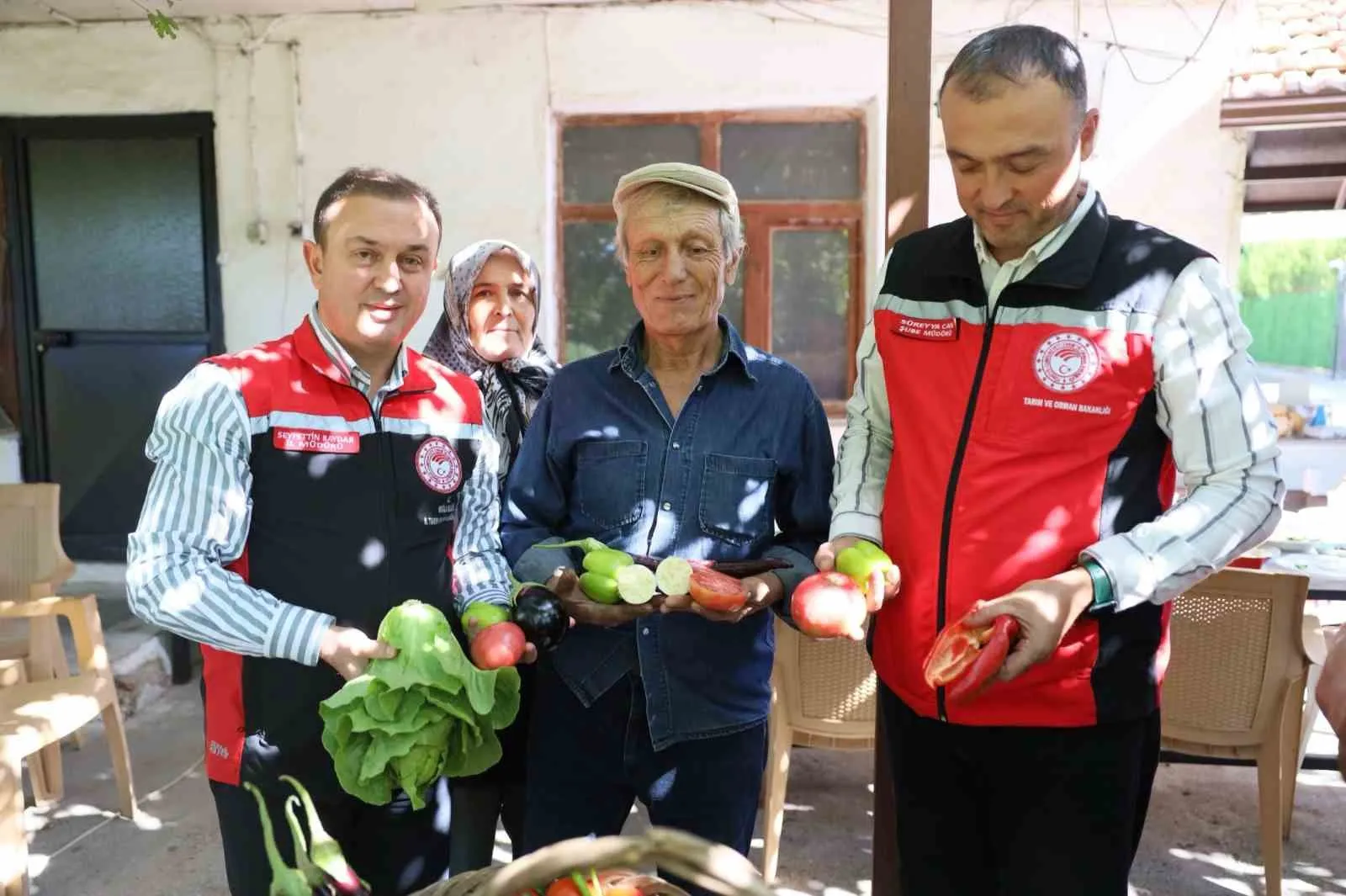 Menteşe’nin kadim lezzetleri gün yüzüne çıktı: Yayla kavununda hasat heyecanı