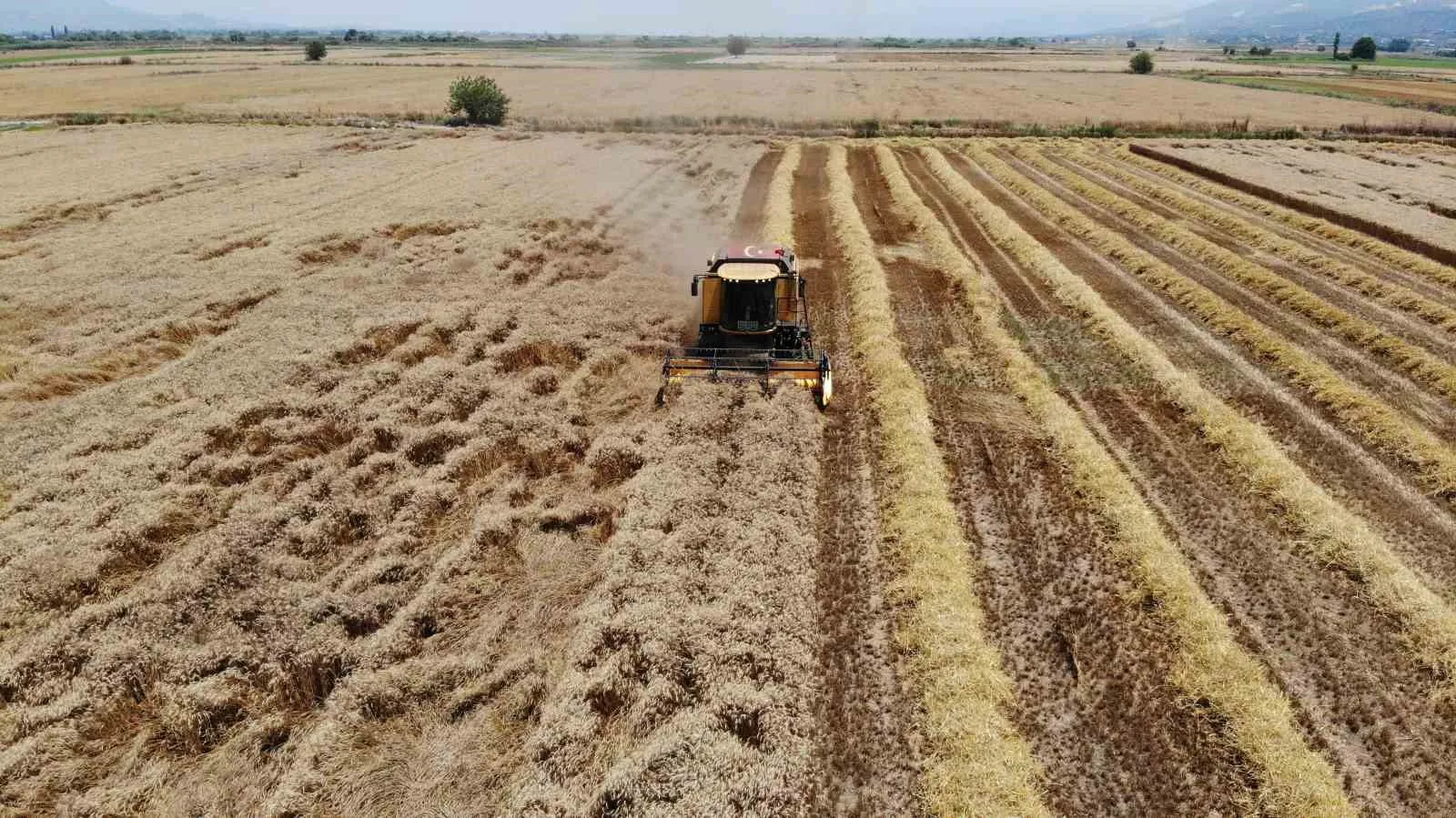 Aydın tarımında yeni dönem: 2027 ürün haritası netleşti