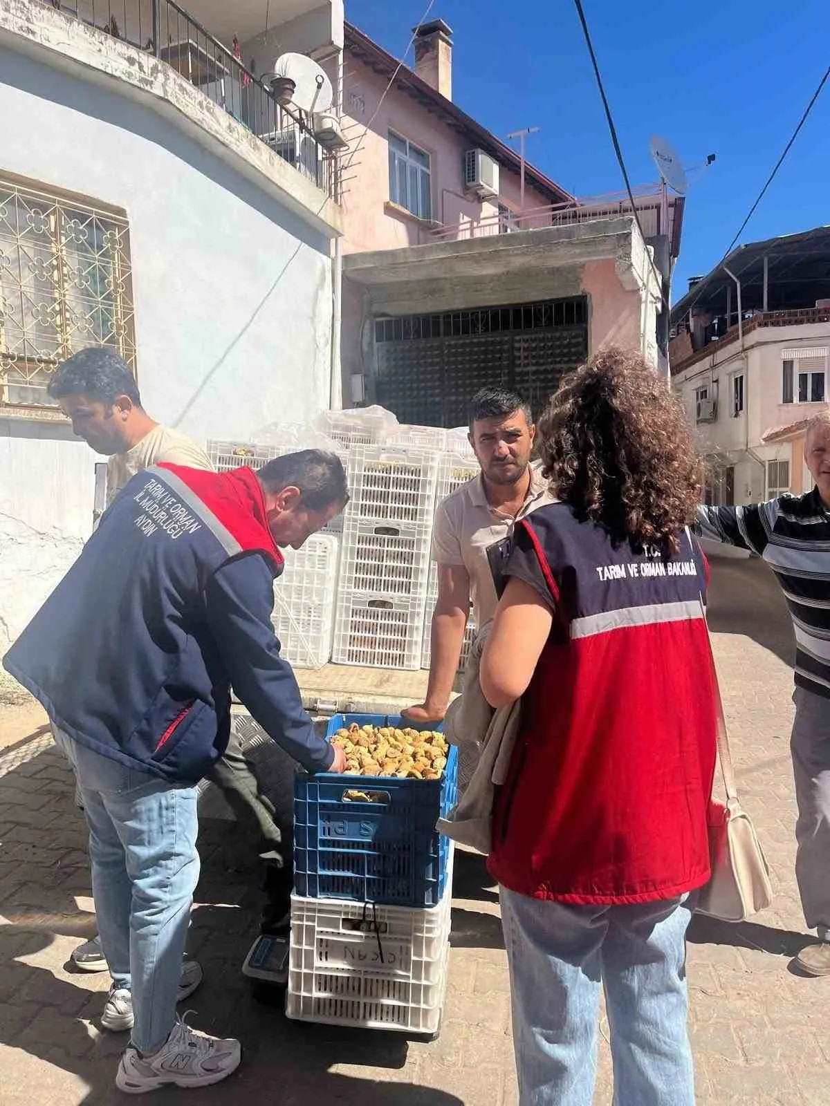 Avrupa tescilli Aydın incirinde sıkı takip: Bozdoğan’da denetim mesaisi