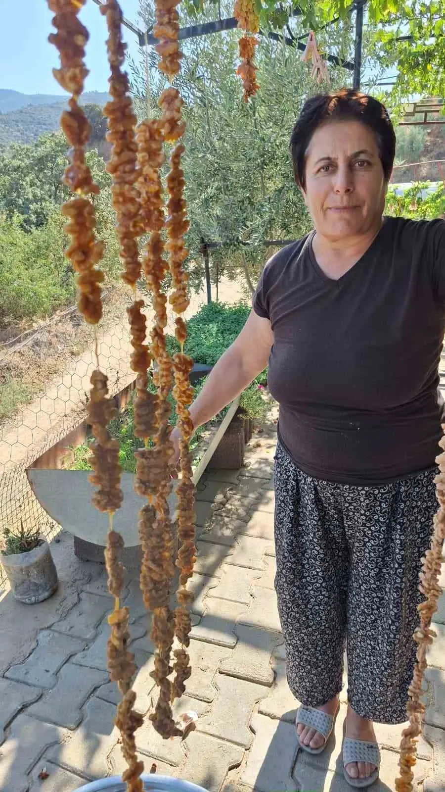 Üzüm para etmeyince mutfağa girdiler: Sarıgöllü çiftin yeni kazanç kapısı cevizli sucuk