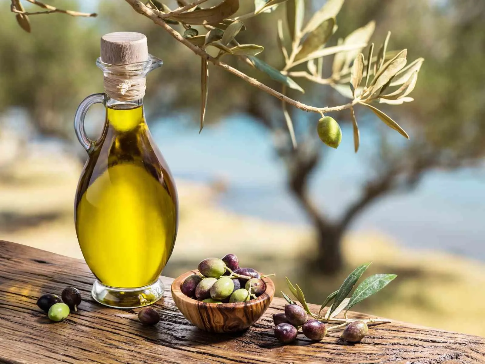 Muğla ekonomisinin lokomotifleri dünya pazarında hız kesmiyor