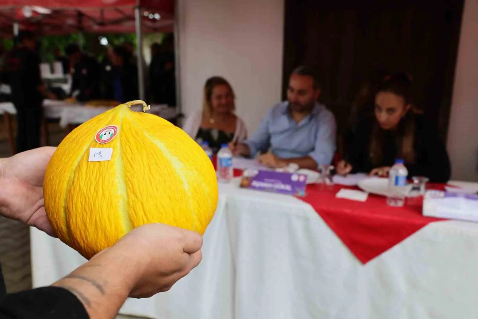Muğla’nın bereketli toprakları ödüllü kavunlarla taçlandı