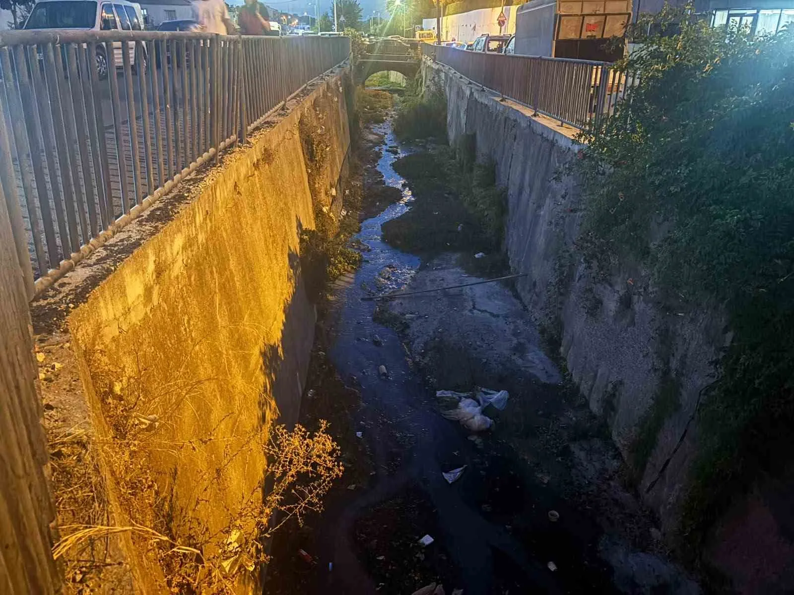 Urla'da dere isyanı: Emekli öğretmenden belediyeye çarpıcı teklif