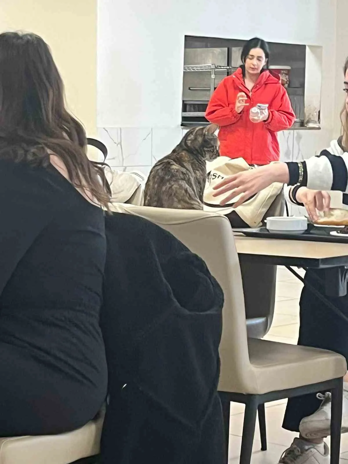Aydın'daki kız öğrenci yurdunda hijyen alarmı: Yemek masaları kedilere kaldı