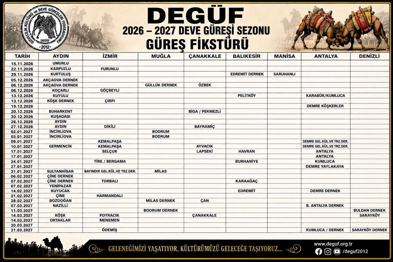 Ege’nin kış klasiği başlıyor: Aydın’da deve güreşi heyecanı için geri sayım