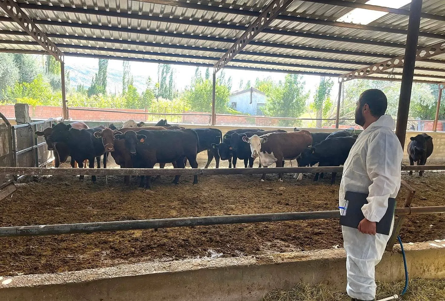 Afyonkarahisar'da hayvancılık desteği yerinde denetlendi